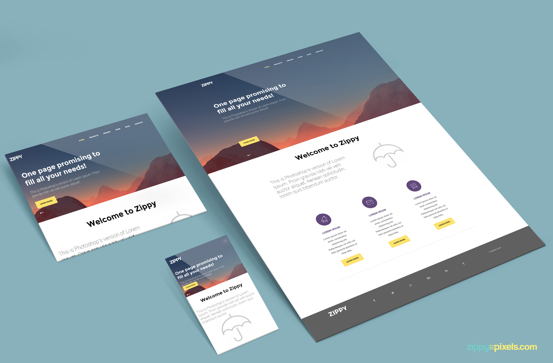 Picture of the author